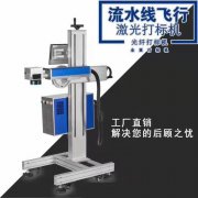光纤在线激光喷码机